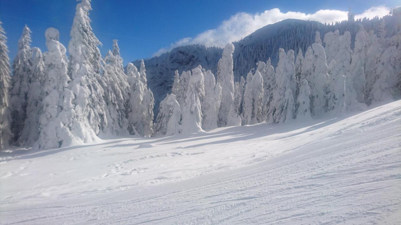 Apartament 2706 Alpin Resort, Etaj 7, Poiana Brasov Luaran gambar